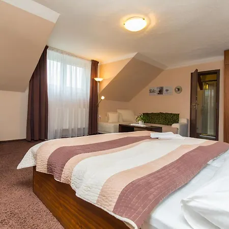 Hotel Cartellone Pardubice
